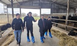 Vize’de Büyükbaş Hayvancılık İşletmesine Ziyaret