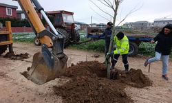 Kavaklı’da Altyapı ve Çevre Düzenlemelerinde Yoğun Mesai