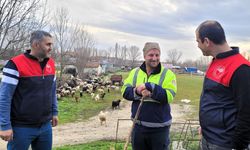 Pınarhisar'da Küçükbaş Yetiştiricilerine Saha Ziyareti