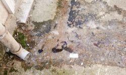 Apartman Çevrelerinde Gizli Tehlike: Donan Yağmursuyu Kazaya Davetiye Çıkarıyor