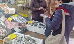 Tekirdağ'da perakende balık satış yerlerine denetim