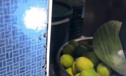 Alışveriş merkezindeki restoranlarda mide bulandıran görüntüler