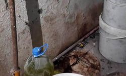 Fırında ortaya çıkan görüntülere tepki gösteren zabıta müdürü: "Fareyi geçtim, yılan çıkacak diye korkuyorum"