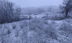 Edirne'nin Hamzabeyli köyünde kar yağışı başladı