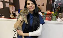 Uzman Veteriner Hekim Tuğçe Kara: "Tüyü var üşümez inancı yanlış"