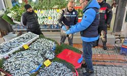 Balık tezgâhları yakın takipte