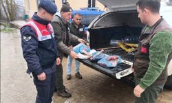 Kırklareli’de yasa dışı karaca avına ağır ceza