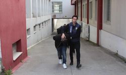 Sazan sarmalı dolandırıcılık şebekesi çökertildi: 7 tutuklu