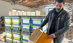 Futbolda rekabet arıcılara yansıdı; renkli kovanlar revaçta