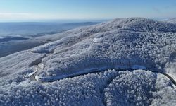 Istranca ormanlarında kar manzaraları