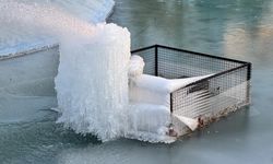 Süs havuzları buz heykeline dönüştü