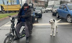 Çarşı pazar peşinden ayrılmıyor