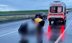 Yolun karşısına geçmek isterken hayatını kaybetti