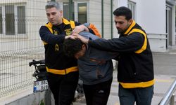 Kedi ezen sürücüye hayvan barınağında çalışma cezası