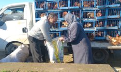 Köy köy gezerek canlı tavuk satıyor