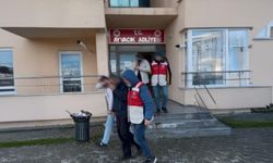 Çanakkale'de 28 kaçak göçmen yakalandı