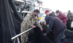 İğneada ve Gürcistan açıklarındaki hamsi avı beklentileri karşılamayınca balıkçılar erken paydos etti