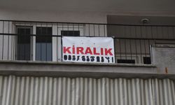 Kiracısını her 50 günde kontrol etmek isteyen ev sahibinden 3 sayfalık sıra dışı kriter listesi