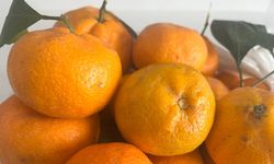 Mandalinadan Vazgeçilmiyor