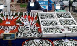 Cumartesi Pazarı’nda Balık Fiyatları Cep Yaktı