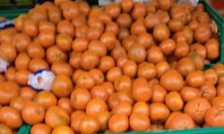 Kış Aylarında Mandalinaya İlgi Artıyor