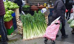 Kırklareli’nde Pırasa Tezgâhlardaki Yerini Koruyor