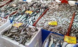 Sevgililer Günü’nde Balık Tezgâhlarında Özel Not: Hamsiye “14 Şubat” Etiketi