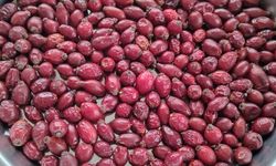 Doğal Şifa Kaynağı: Kuşburnu