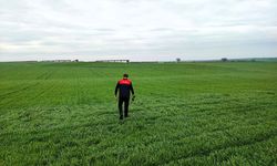 Babaeski’de Hububat Ekim Alanlarında Saha Kontrolleri Yapıldı