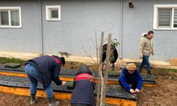 Pınarhisar’da Çilek Üretimine Teknik Destek