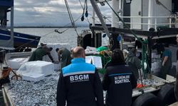 Demirköy’de Hamsi Sevkiyatına Sıkı Denetim