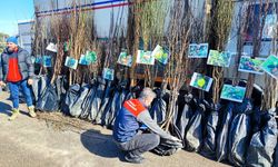 Babaeski’de Fidan Satış Yerlerine Denetim