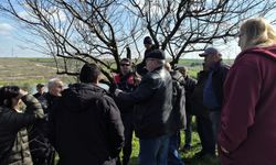 Lüleburgaz’da Üreticilere Uygulamalı Budama Eğitimi