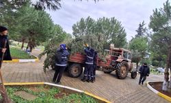 Büyükkarıştıran’da Mezarlıkta Temizlik ve Budama Çalışması