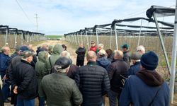 Lüleburgaz’da Üreticilere Budama Eğitimi