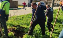 İnece’de 900 Fidan Toprakla Buluştu