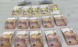 Sınırda sahte Euro ele geçirildi, Bulgar sürücü gözaltında