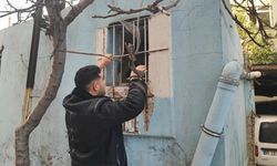 "Kedi bile zor girer" denilen pencereden girdi, sadece iPhone’ları çaldı