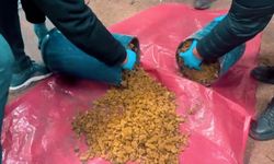 Tekirdağ’da yakıt tüplerine zulalanmış 24 kilo 500 gram skunk ele geçirildi