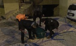 Polis kavga ihbarına gitti, banyoda cesetle karşılaştı: 3 gözaltı