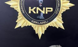 Kırklareli'nde 450 gram bonzai ele geçirildi: 1 kişi tutuklandı