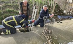 Su deposuna düşen yavru köpek 6 saat sonra kurtarıldı