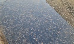 Tekirdağ'da çamur yağdı