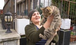 20 yıldır sokak kedilerine annelik yapıyor: "Sadece sevgi istiyorlar"