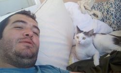 Kaybolan kedisi için binlerce kilometre yol yaptı