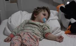 Yalova'da komşuların gürültü kavgasında 14 aylık bebek hastanelik oldu