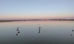 Uzunköprü’de kaçak avlanan 4 kişiye 762 bin TL ceza