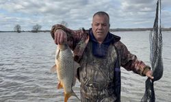 Meriç'in taşması sonrası tarlada sazan yakaladılar