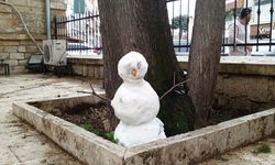 Karlar Eridi, Kardan Adam Direniyor