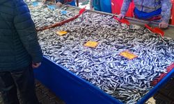 Cumartesi Pazarında Balık Tezgâhları Doldu, Fiyatlar Dikkat Çekti